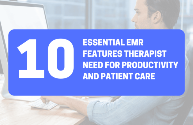 Therapist using EMR software highlighting essential features like scheduling, secure data storage, and patient records management.