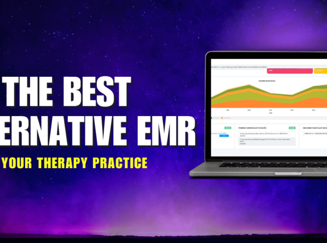 Best alternative EMR for your therapy practice showcasing HelloNote’s intuitive login interface