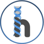 HelloNote Expert Research Team